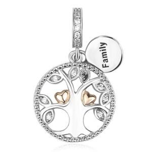 Strieborný Prívesok S925 Strieborný Rodokmeň