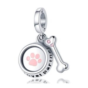 Strieborný prívesok S925 Psia Miska a Kosť