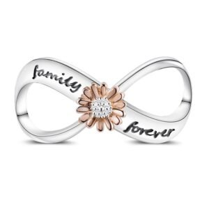 Strieborný prívesok S925 Navždy Rodina