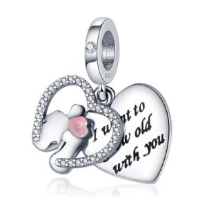 Strieborný prívesok S925 Zamilovaný Pár